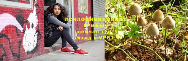 хмурый Абинск